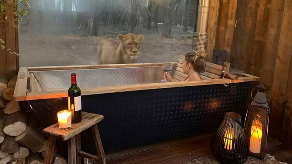 Port Lympne Hotel: Hotel bietet den Gästen die Möglichkeit, mit