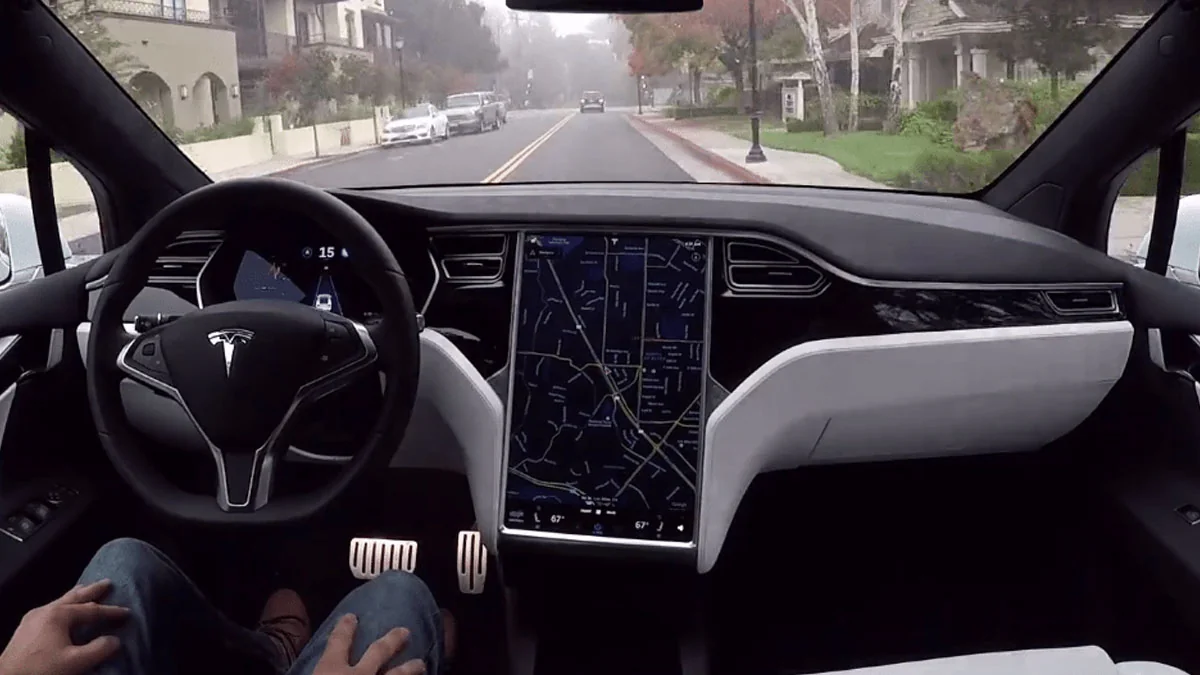Tesla: Autopilot weicht Enten aus, die die Straße überqueren