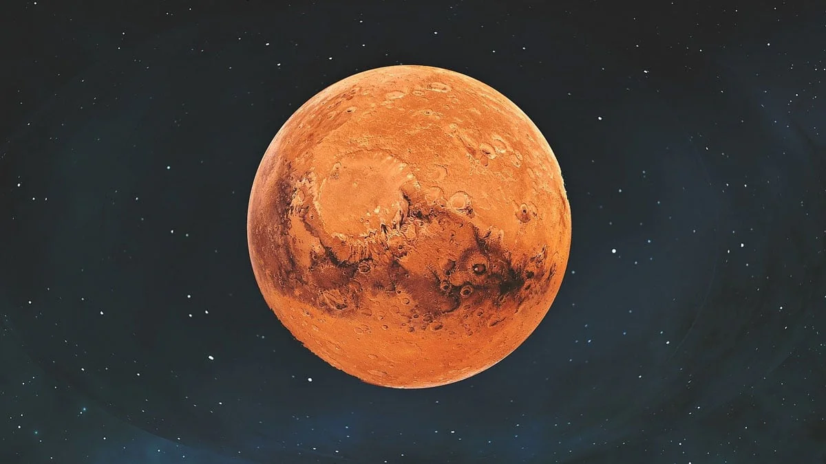 12 Dinge, die du nicht über Elon Musk wusstest