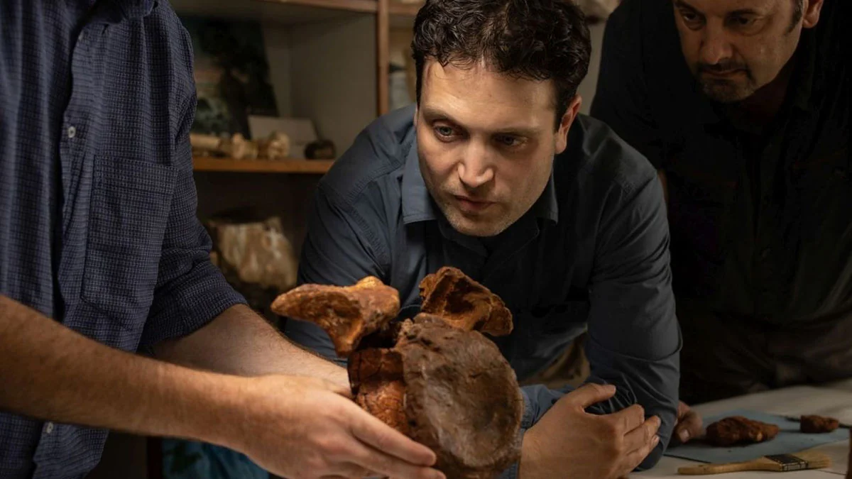 Spinosaurus: Der erste schwimmende Dinosaurier der Welt