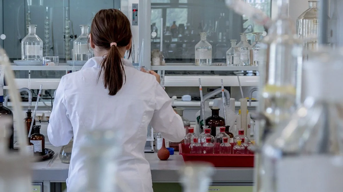 Nach dem Tod werden Zombie-Gene im Gehirn aktiv