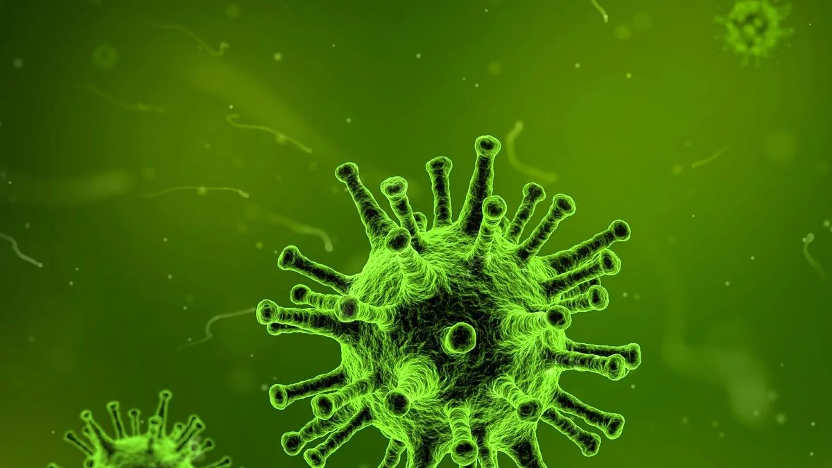 SaNOtize: Nasenspray gegen das Coronavirus entwickelt