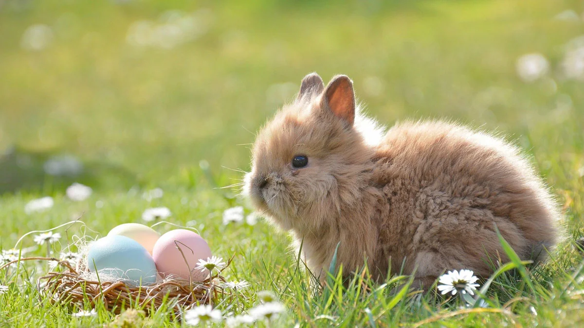 Die 10 besten Fakten über Ostern