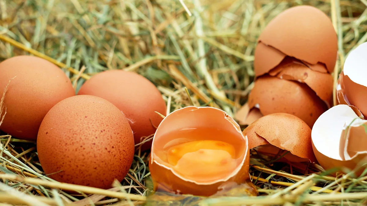 Die 10 besten Fakten über Ostern