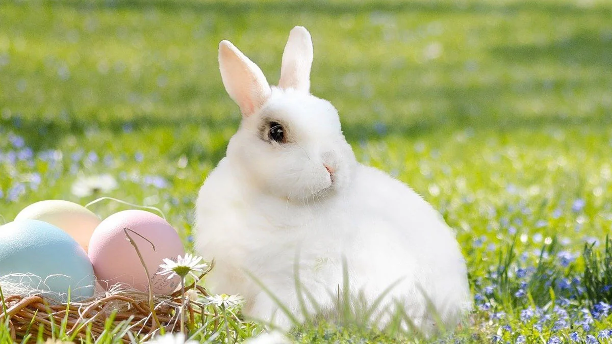 Die 10 besten Fakten über Ostern