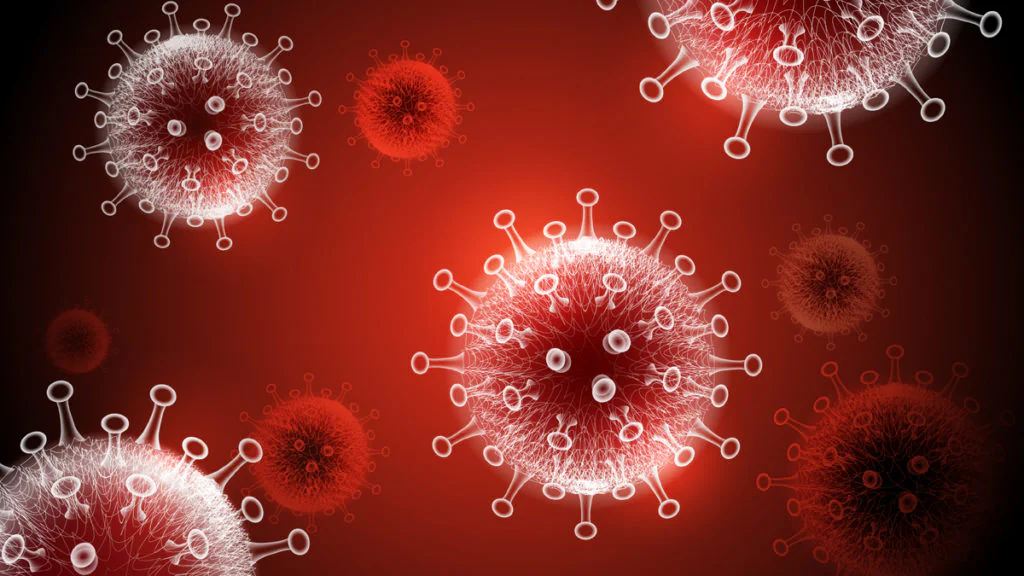 Spürhunde im Einsatz gegen das Corona-Virus