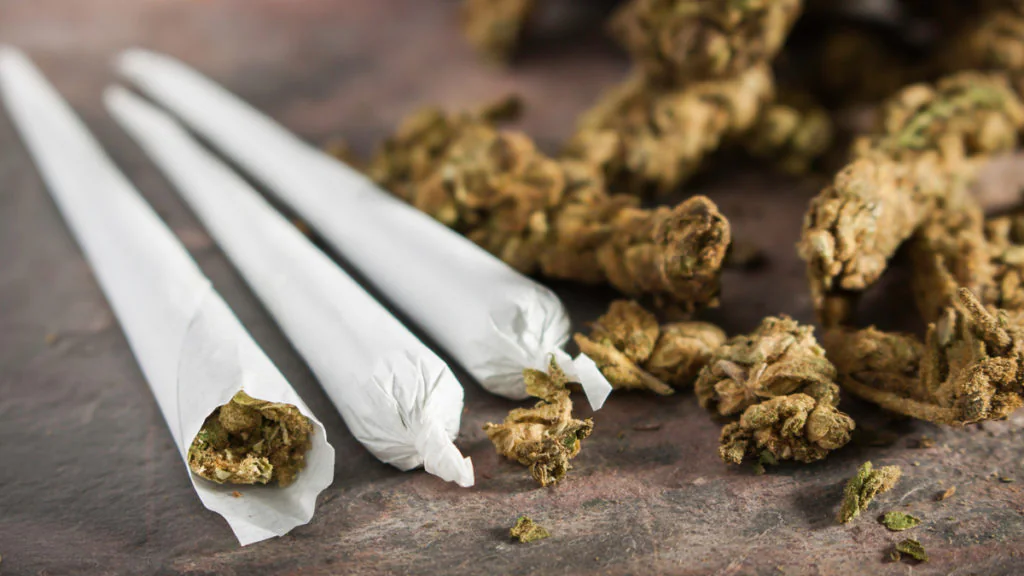 Leipzig soll erste Stadt mit legalisiertem Cannabis-Konsum werden