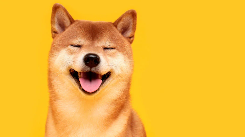 Shiba Inu: Kryptoinvestor:in macht mit 8.000 Dollar Milliardengewinn