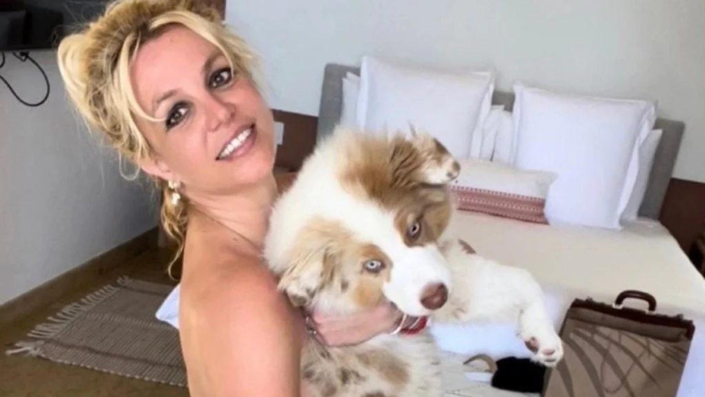 Komplett nackt: Schwangere Britney Spears mit heißer Show auf Instagram