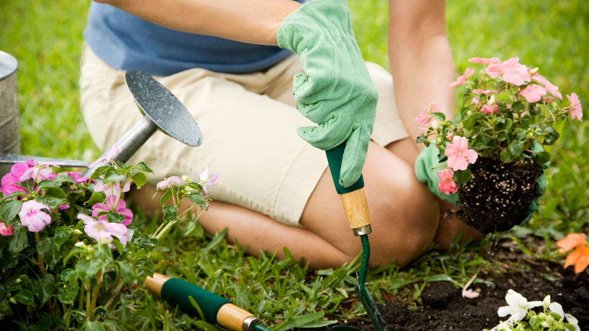 Im Wert von 10 Millionen: Paar findet Schatz im Garten