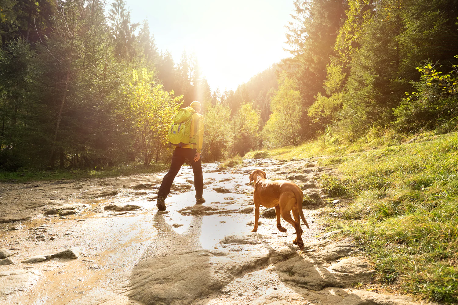 Sabbatical: Vor- und Nachteile, Anspruch und Alternativen