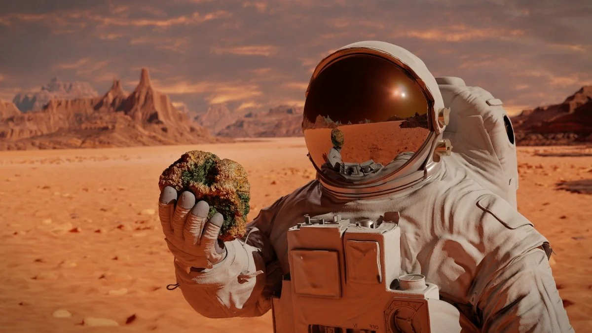 Aufgepasst: NASA sucht Helfer für eine simple Aufgabe
