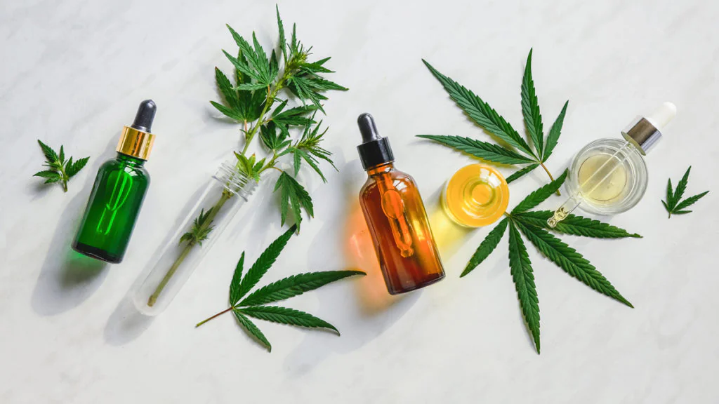 Legaler Kauf von Cannabis: Das sind die Bedingungen