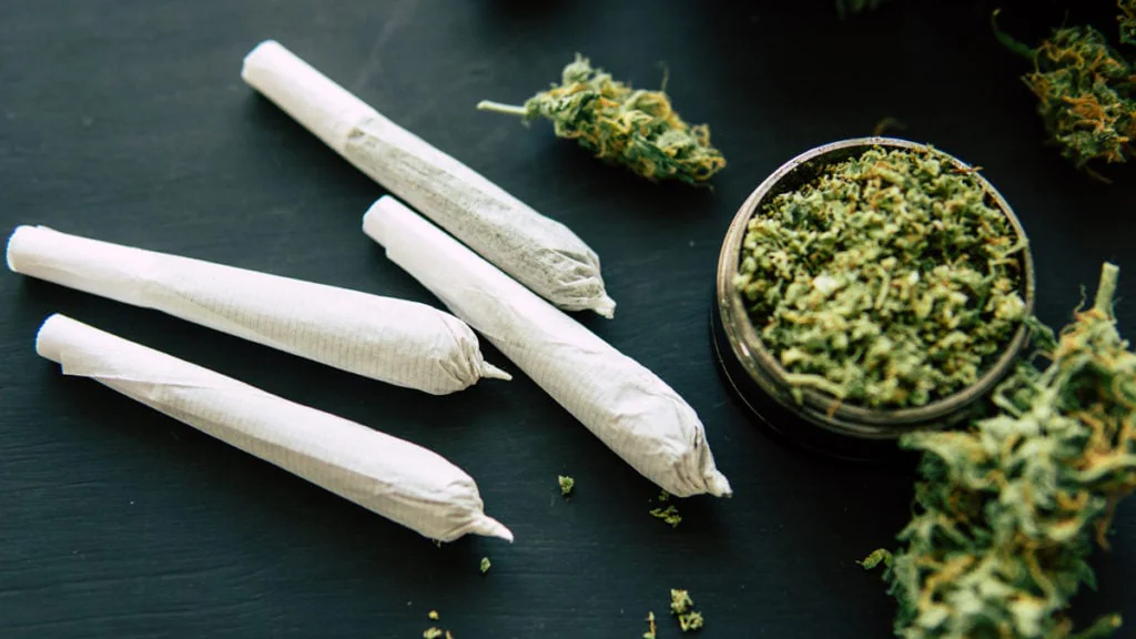 Studie: Marihuana steigert das Risiko für eine Lungenkrankheit