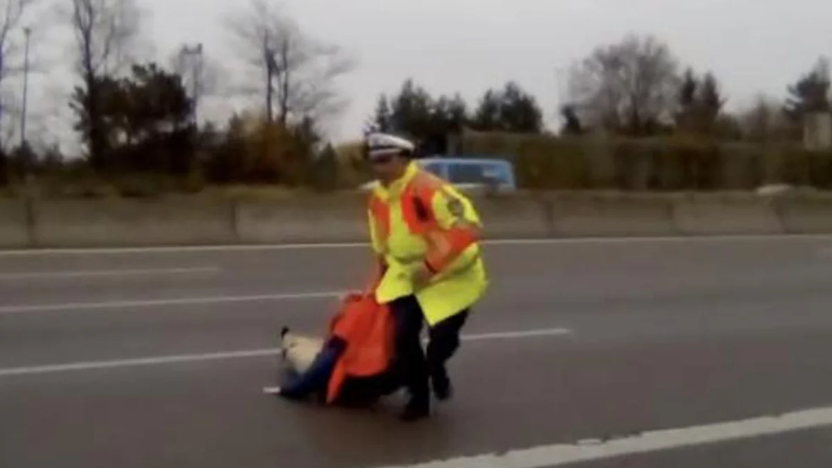 bevor-sie-sich-festkleben-konnte-polizist-zieht-klimaaktivistin-von-autobahn-a9
