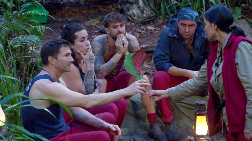 „Dschungelcamp“-Stars droht eine 30.000-Euro-Strafe