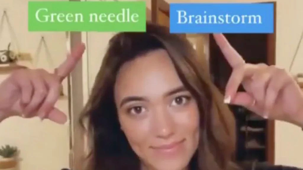 „Green Needle“ oder „Brainstorm“? Video sorgt für Verwirrung