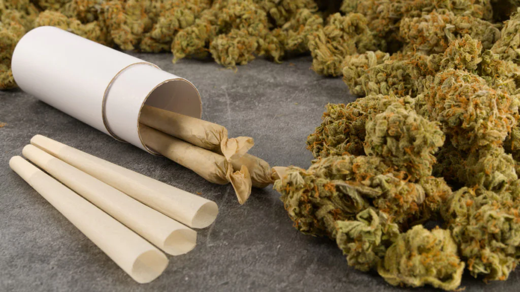 Legal Cannabis anbauen: Diese Regeln sollen künftig gelten