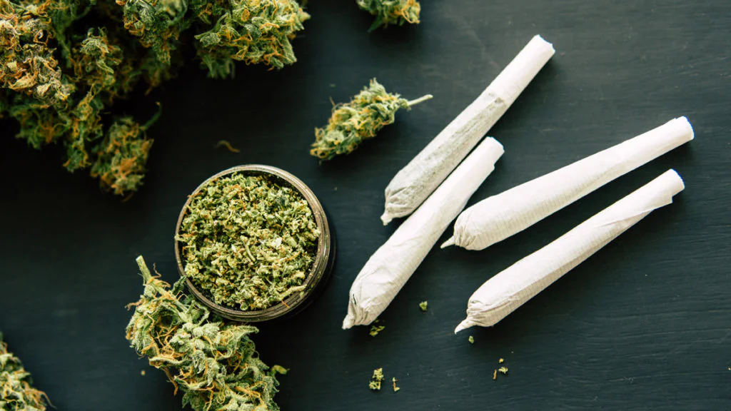 Cannabis-Legalisierung: Mediziner schlagen Alarm und warnen vor Freigabe
