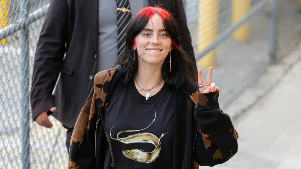 Billie Eilish enthüllt ihre Sexualität - „War das nicht offensichtlich?“