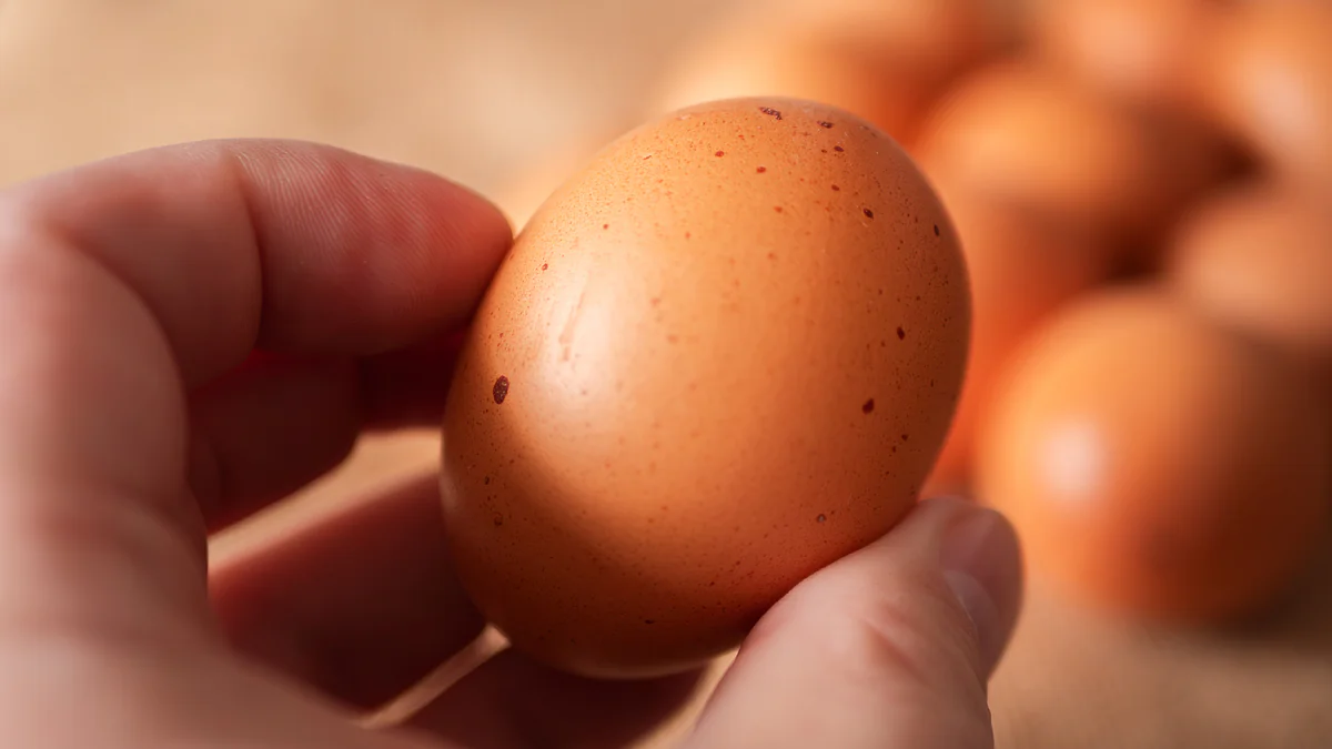 Braune Eier sollen aus dem Supermarkt verschwinden: Änderung für Millionen Kunden kommt