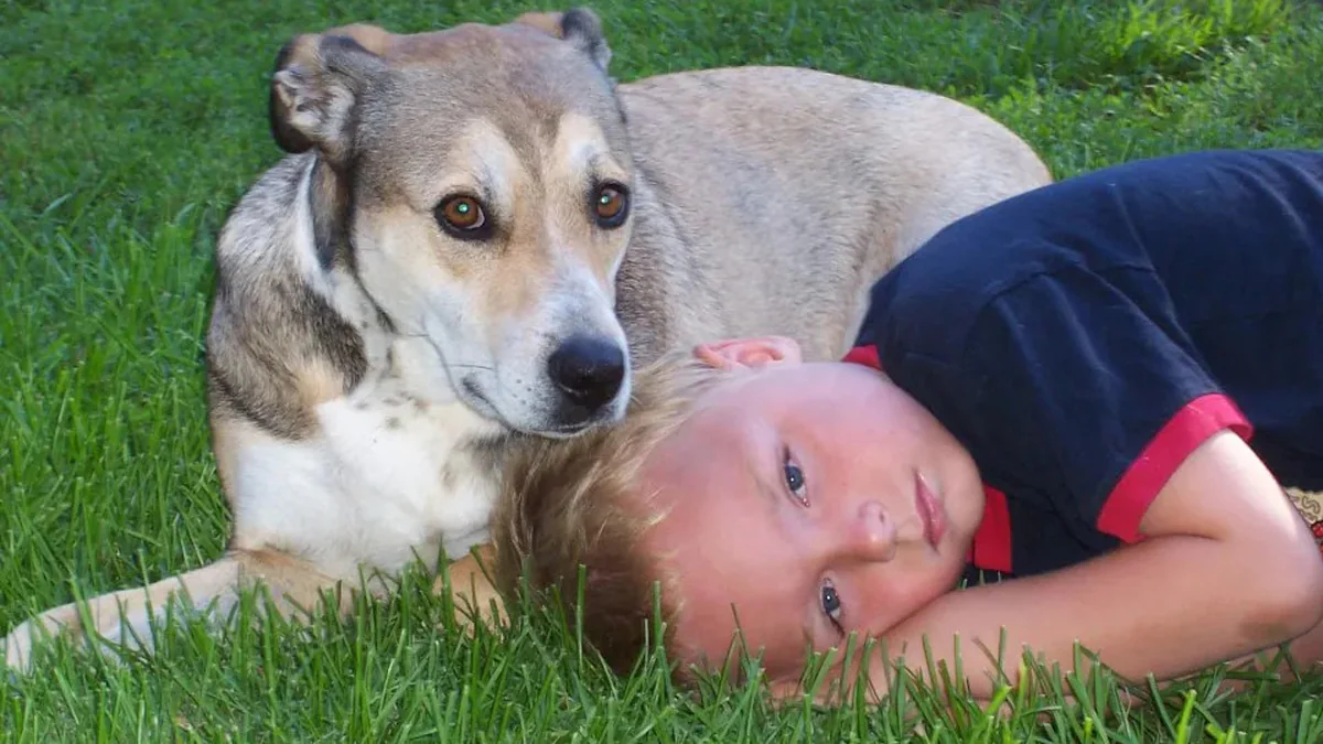Der Fall Ryan Gibbons: Junge stirbt in Schule, weil man ihm seinen Asthma-Inhalator wegnahm