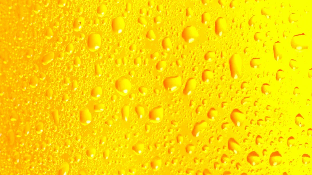 Alkohol Fakten: 12 Fakten über Bier