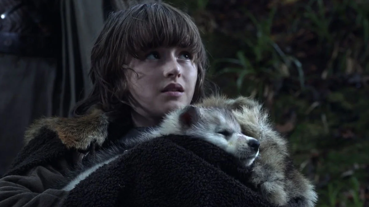 Game of Thrones: Schattenwolf Sommer stirbt im Alter von zehn Jahren