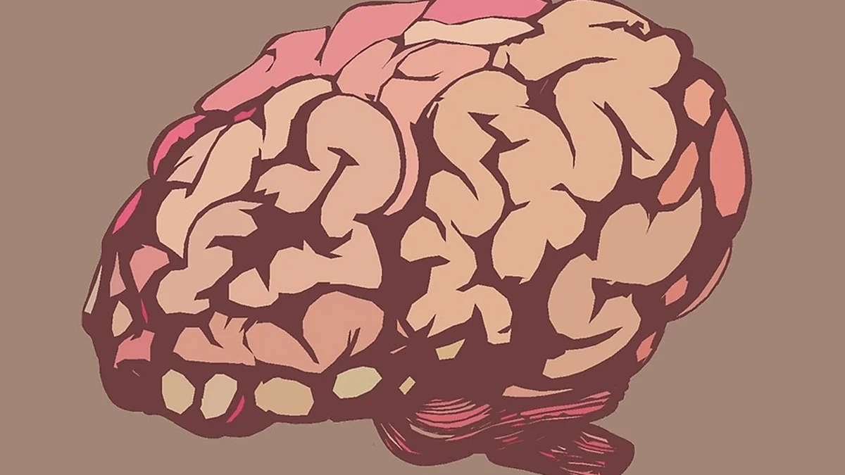 24 unglaubliche und interessante Fakten, die du wissen solltest