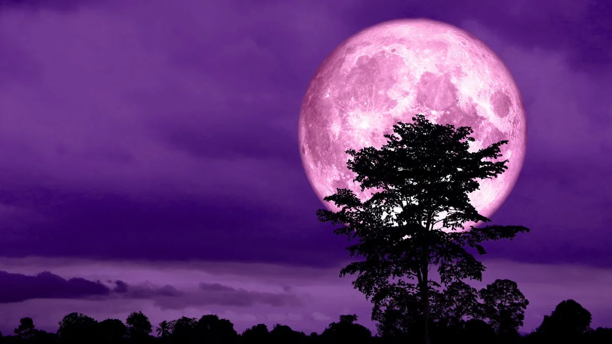 Hellster Supermond: Pinker Vollmond im April 2020