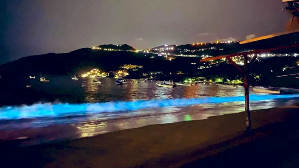 Strand von Acapulco: Ozean leuchtet das erste Mal seit 60 Jahren im strahlenden Neonblau