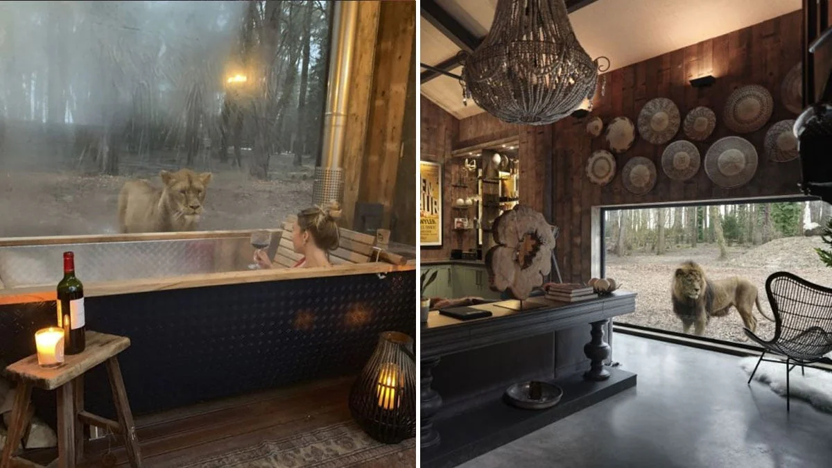Port Lympne Hotel: Hotel bietet den Gästen die Möglichkeit, mit 