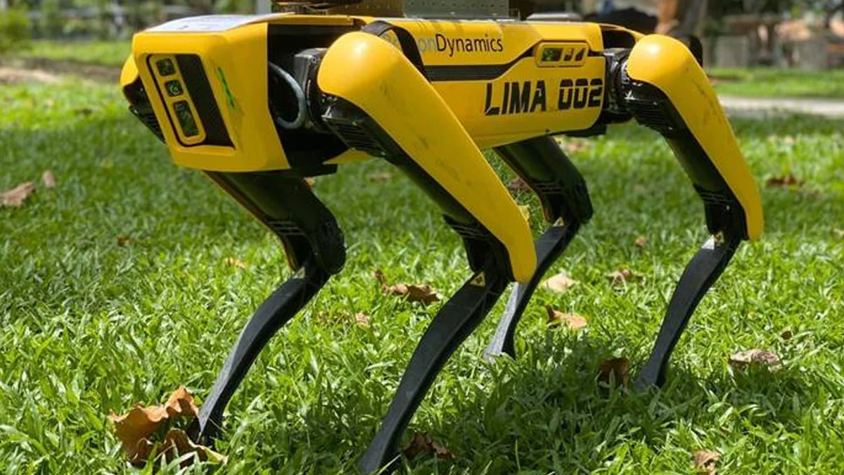 Coronavirus: Ein „Robodog“ patrouilliert im Park von Singapur