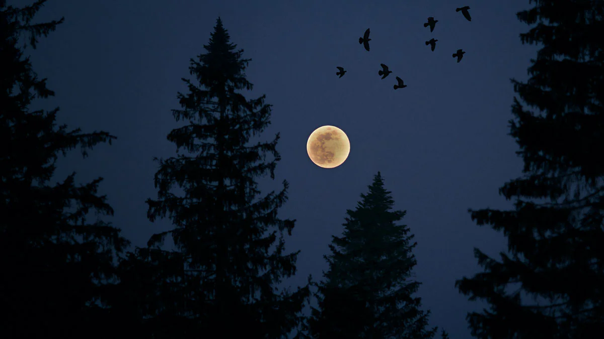 Hellster Supermond: Blumenmond im Mai 2021
