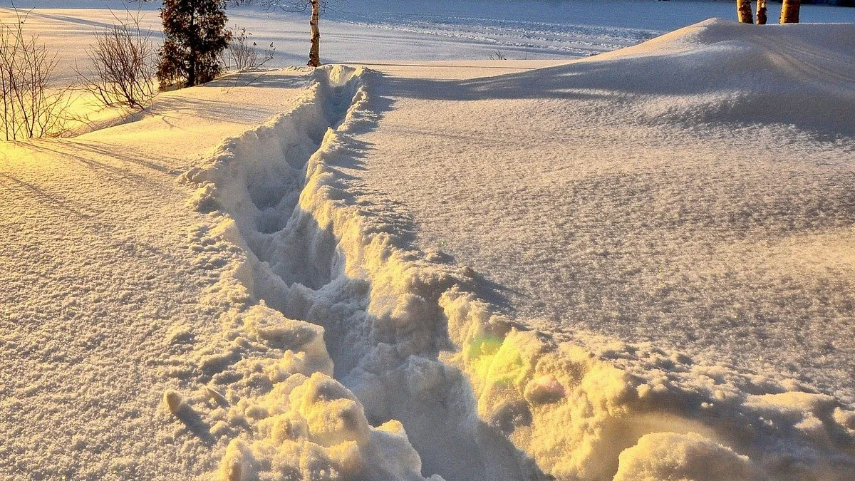 Unwetterwarnung: Meteorologen erwarten Schneesturm