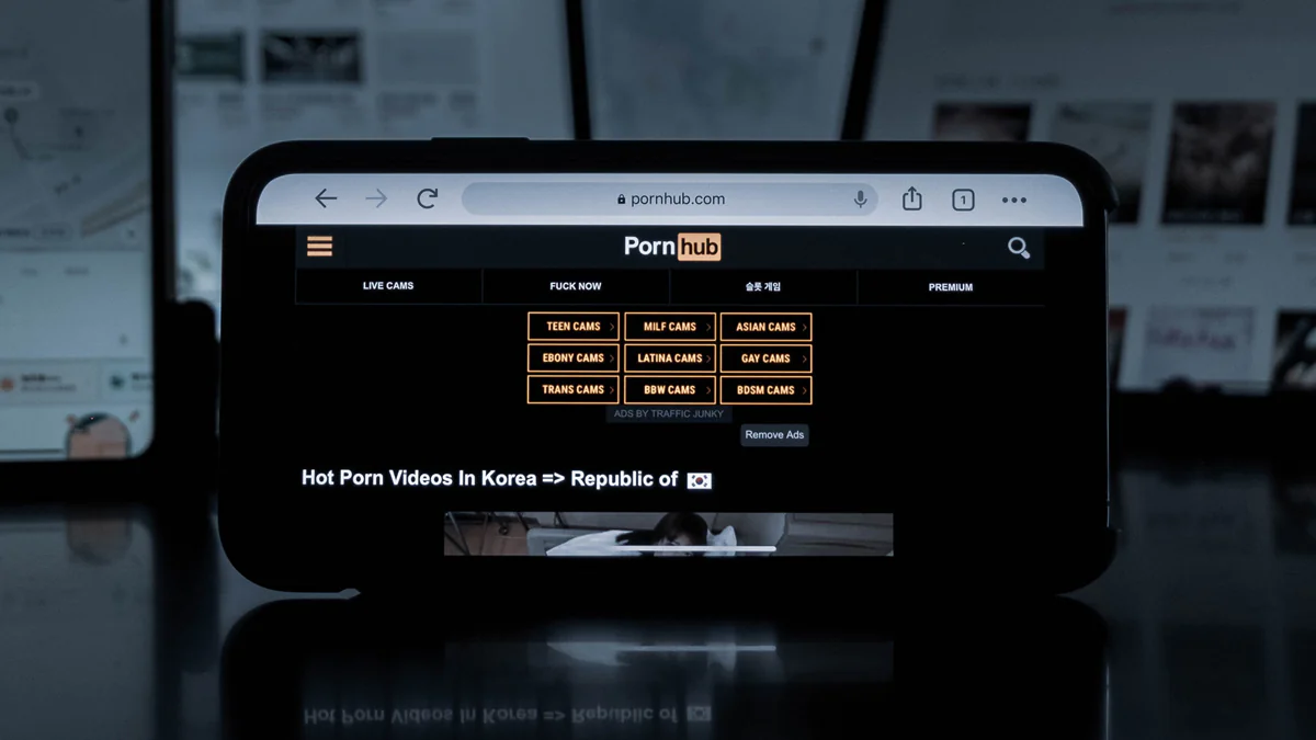PornHub: Diese Begriffe suchen nur die Deutschen