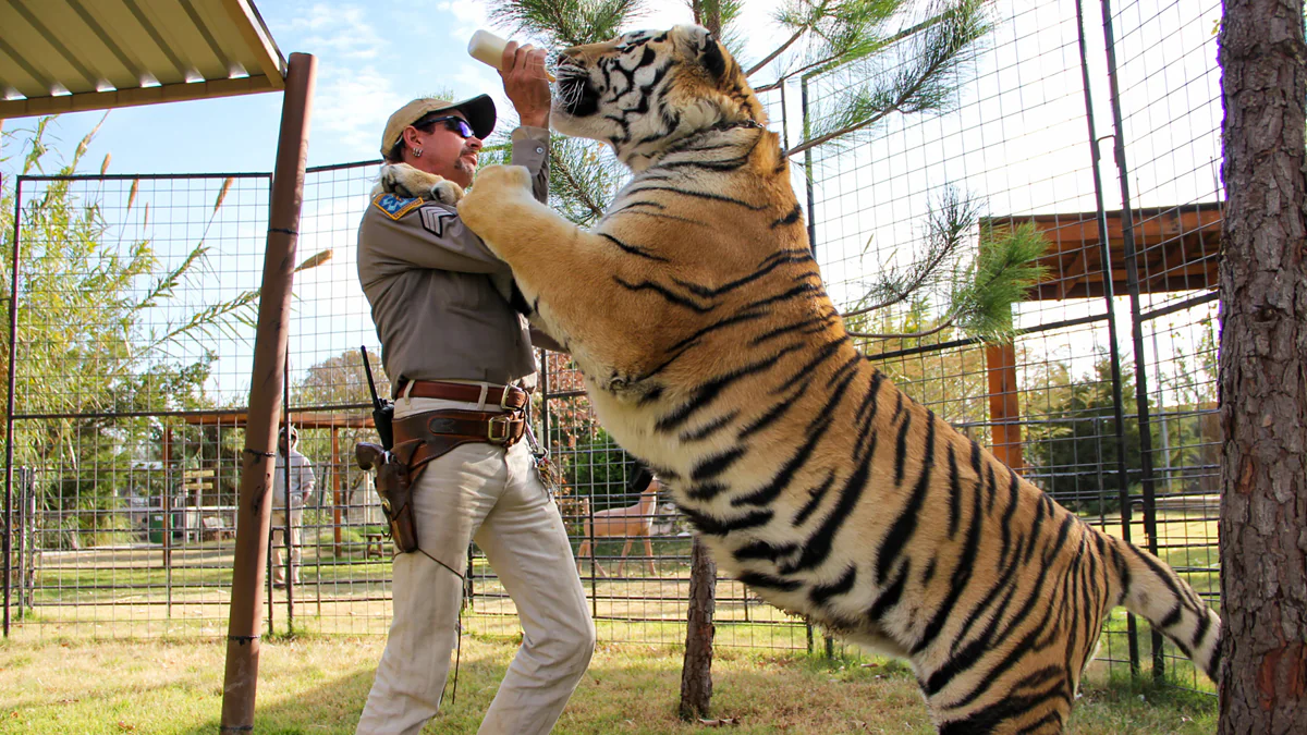 Netflix-Serie „Tiger King“: Zweite Staffel angekündigt