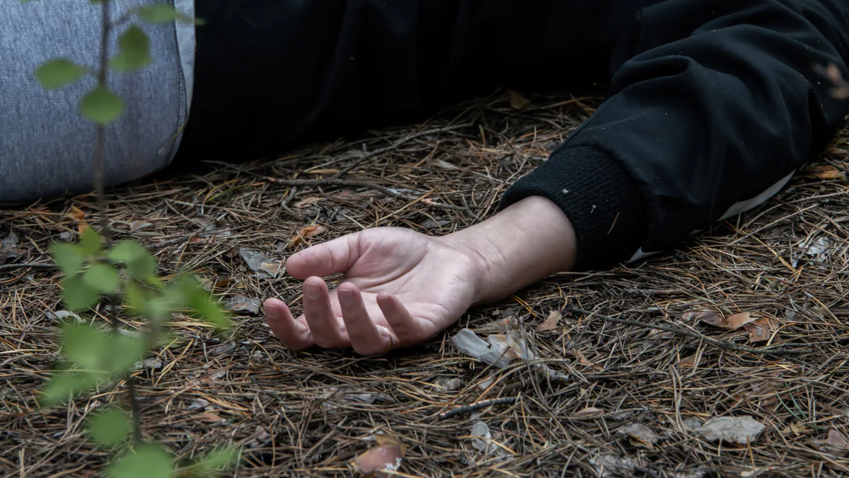 Wer ist die Leiche aus dem Schwarzwald: Polizei bittet um Mithilfe