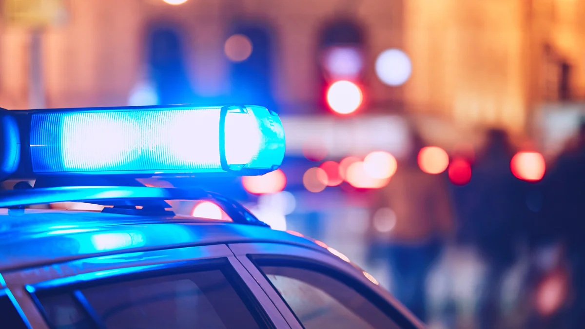 Nach Entführung: Cleo wohlbehalten zurück bei ihren Eltern