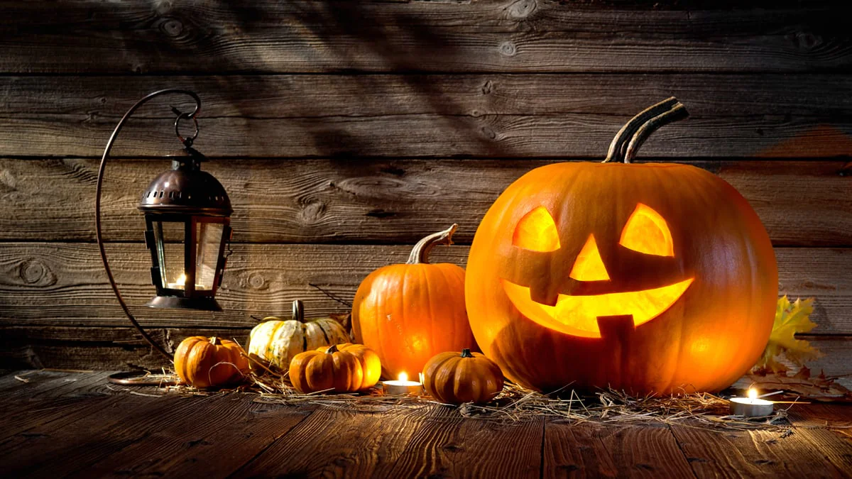 halloween-49-jaehriger-gibt-kindern-drogen-statt-suessigkeiten