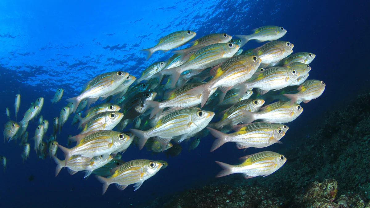 Heftiges Unwetter: In Texas regnete es Fische