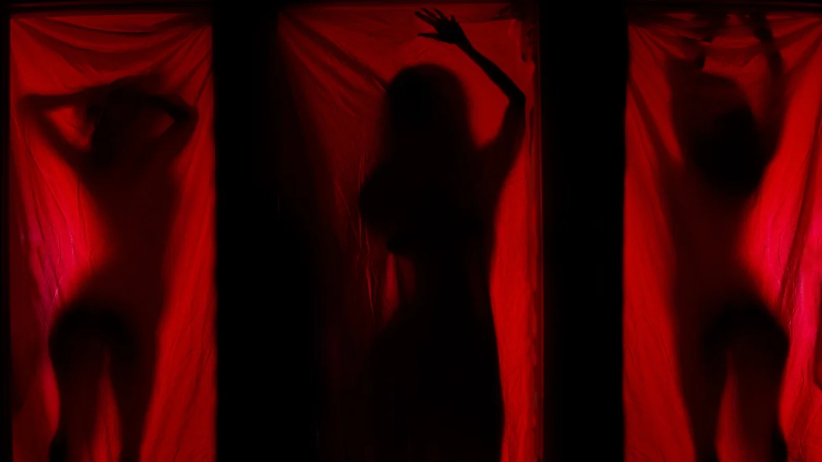 Sexarbeit in Deutschland: Aus diesen Ländern stammen die meisten Prostituierten