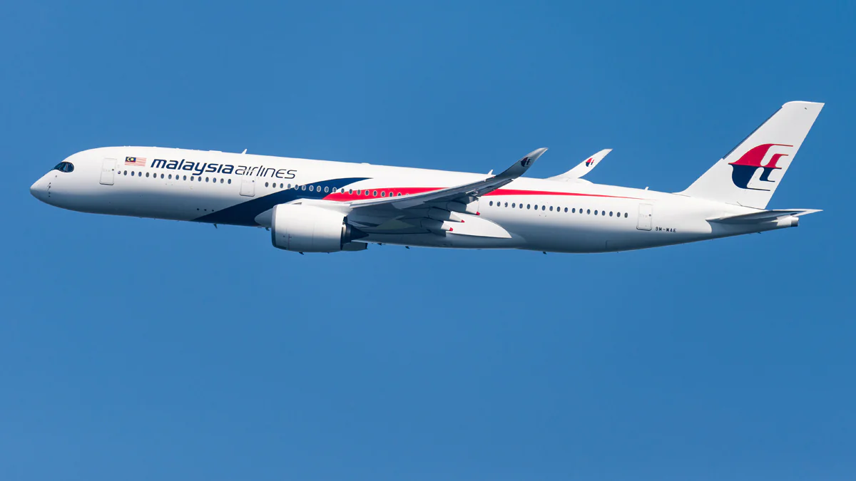 Neue Theorie: Was geschah mit Flug MH370?