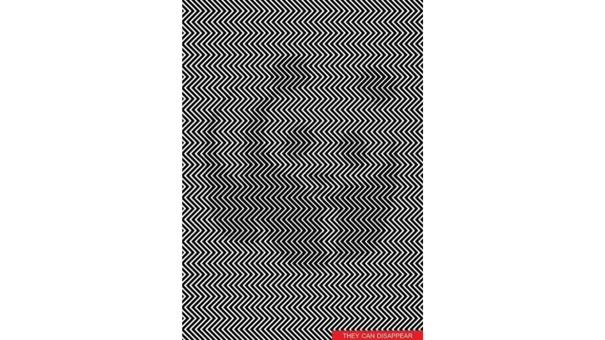 Optische Illusion: Welches Tier versteckt sich hier?