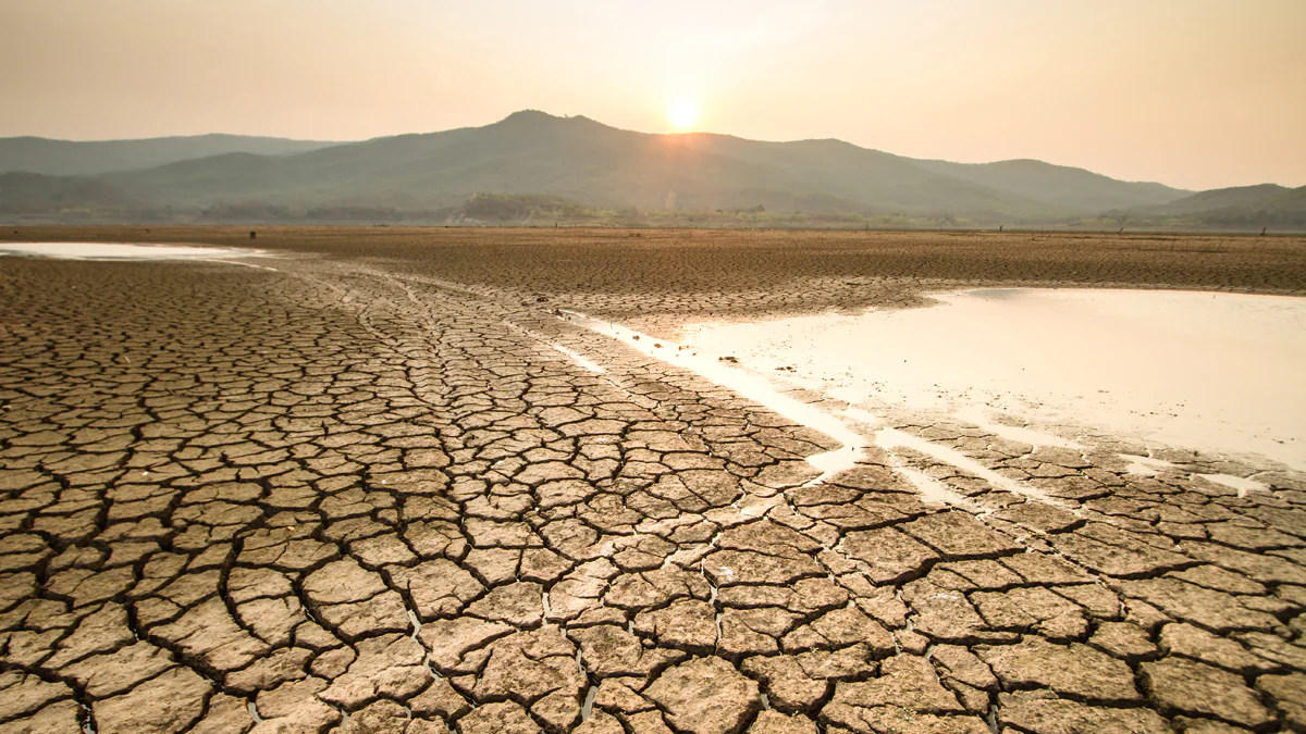Sommer 2022: Wetterexperten enthüllen überraschende Prognose