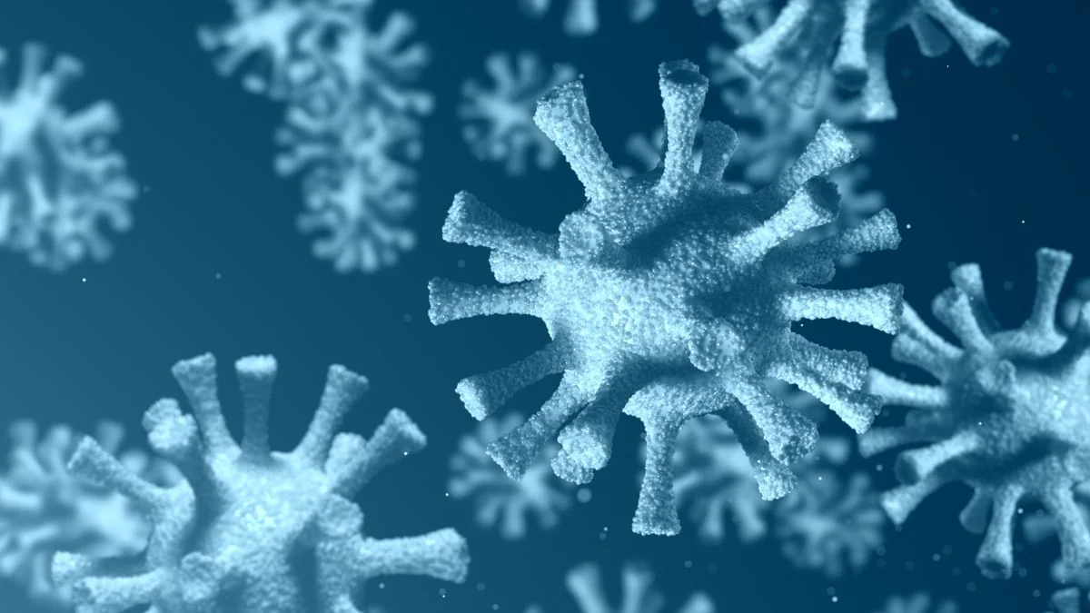 Schlimmer als Corona: Zeitreisender warnt vor Killer-Virus