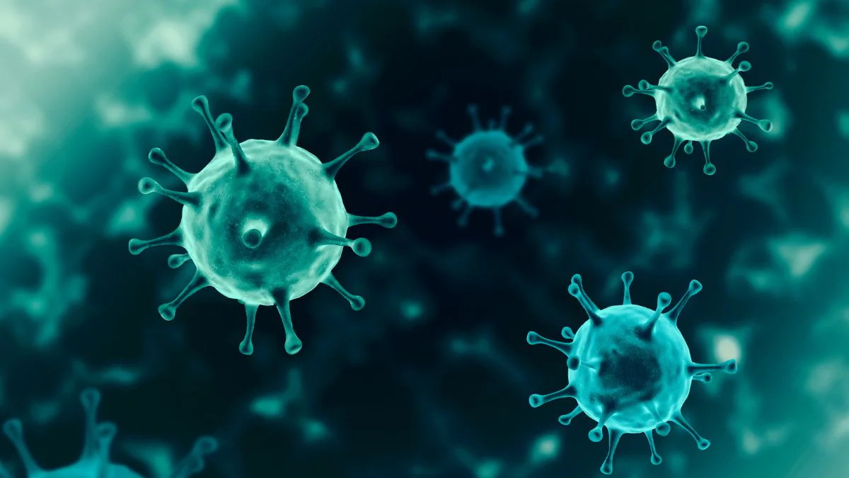 Nach Corona und Affenpocken: Tödliches Borna-Virus in Deutschland aufgetaucht