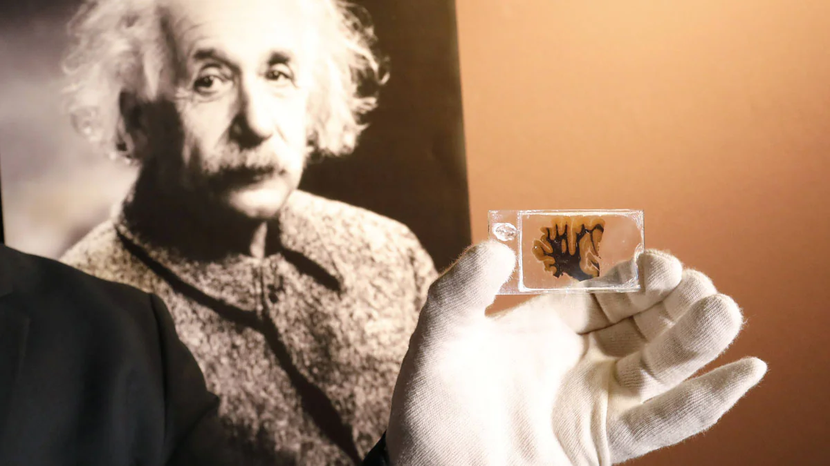 10 erstaunliche Fakten über Albert Einstein