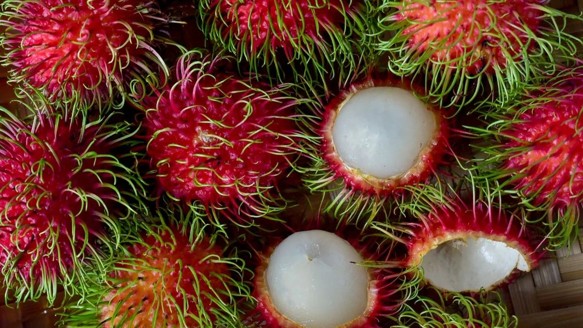 Urteil: Vegan-Mutter ließ ihr Baby verhungern