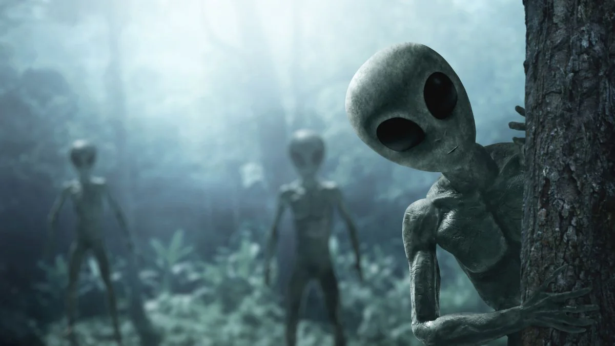 Harvard-Professor will Alienmaterial aus Ozean bergen